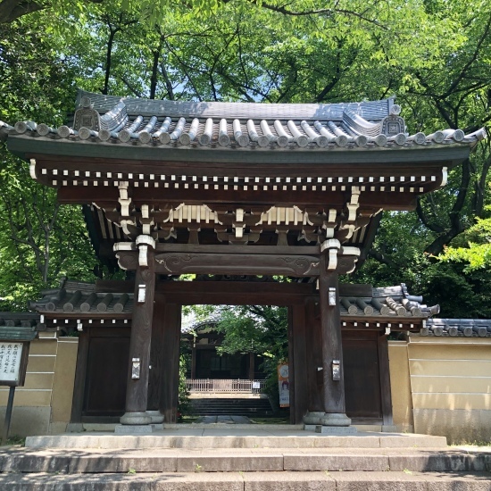 義父の四十九日法要と環水平アーク_f0197215_10584054.jpg