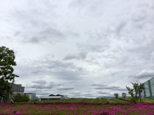 c0023016_11571865.jpeg