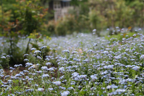 r e m e m b e r 　_b0081419_10101863.jpg