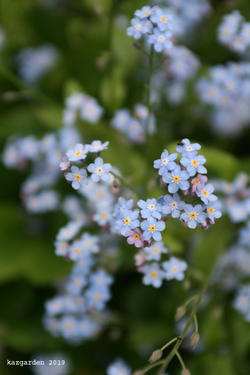 r e m e m b e r 　_b0081419_10112511.jpg