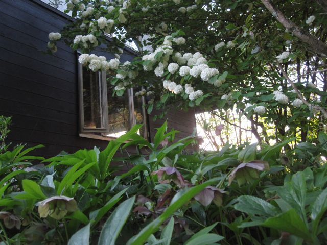 c0292328_22110778.jpg