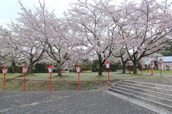 c0201929_20293346.jpg