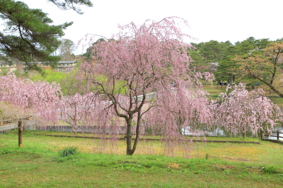 c0201929_20293468.jpg