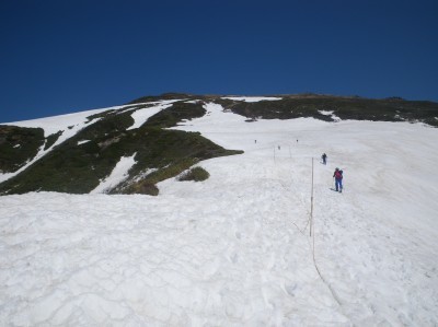 d0171229_07524269.jpg