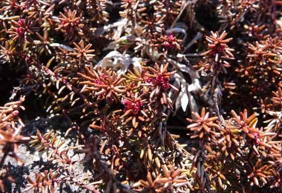 f0118332_00123495.jpg