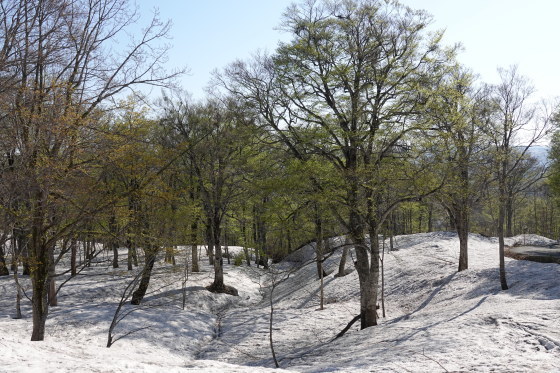 f0118332_00162740.jpg