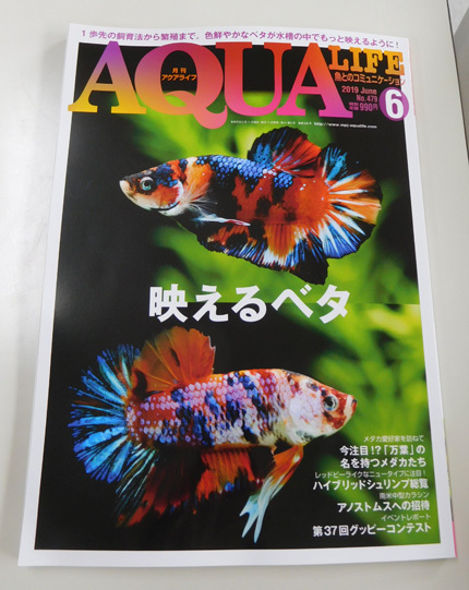 Aqua Life と ひとりでできるもん器 だって おばちゃんだもん