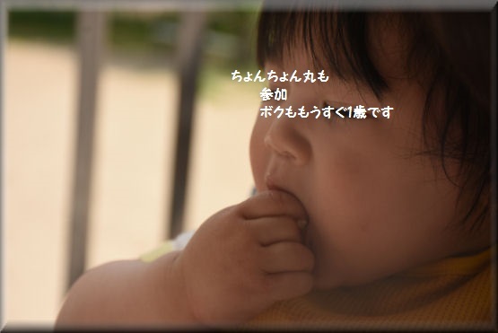 f0363141_08573236.jpg