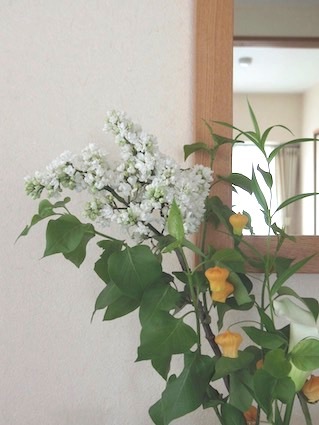 a0271045_10312959.jpeg