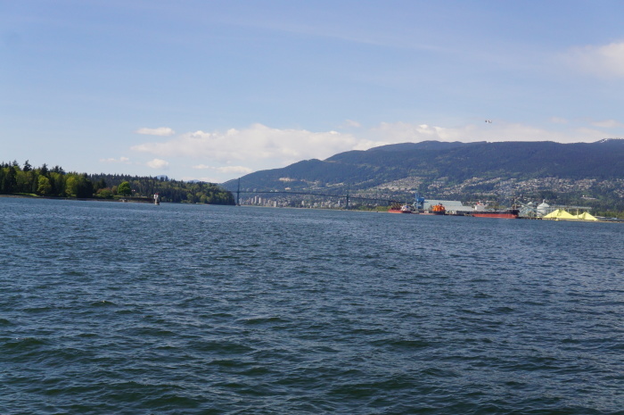 d0152261_11581367.jpg