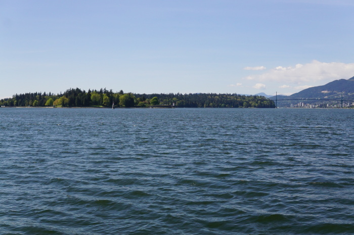 d0152261_11583421.jpg