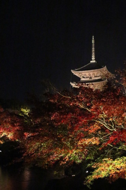 紅葉2018　東寺ライトアップ_a0370663_17433293.jpg