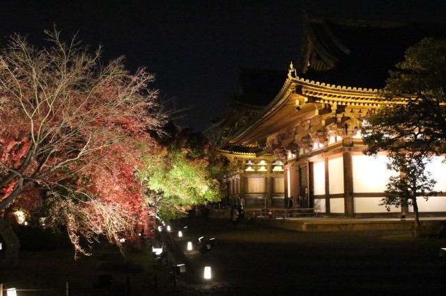 紅葉2018　東寺ライトアップ_a0370663_17580310.jpg