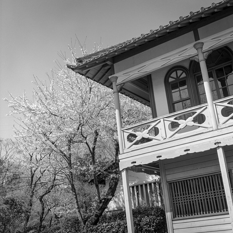 b0175964_19373131.jpg