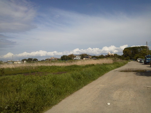 b0155973_13144680.jpg