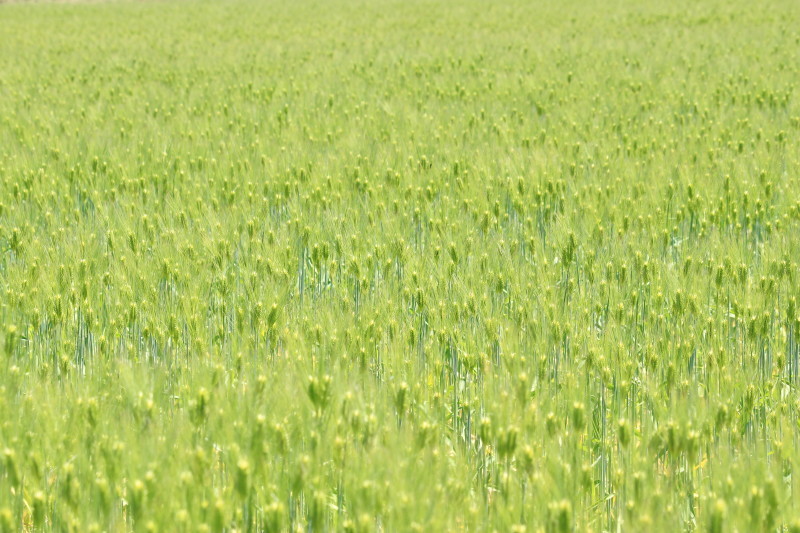 b0093678_14054643.jpg