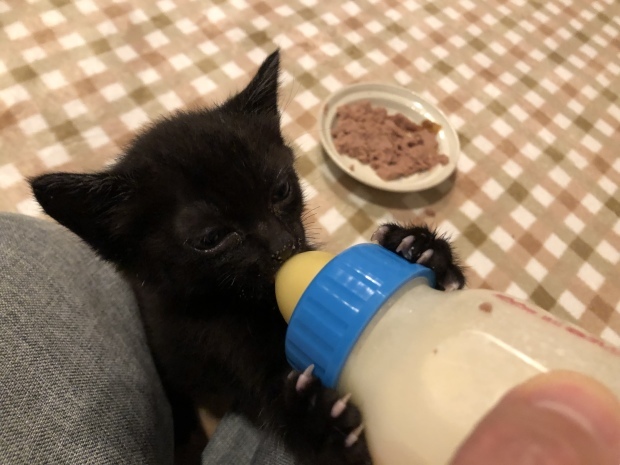 b0377882_11065161.jpeg