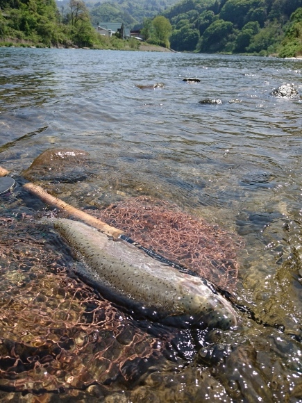 c0157482_10272333.jpg