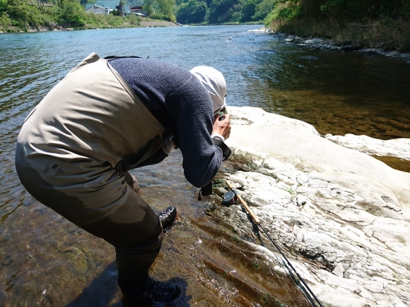 c0157482_12174645.jpg