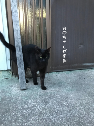 a0216583_23362874.png