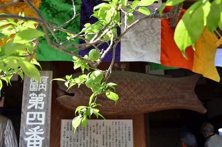 c0229483_125546.jpg