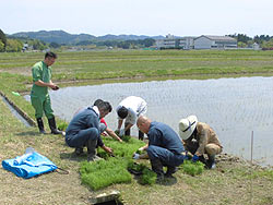 田植え体験(下目黒小・枝野小) _d0247484_8485573.jpg