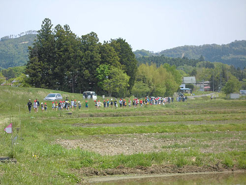 田植え体験(下目黒小・枝野小) _d0247484_858026.jpg