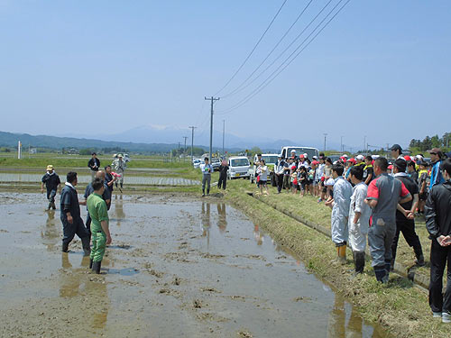 田植え体験(下目黒小・枝野小) _d0247484_903791.jpg