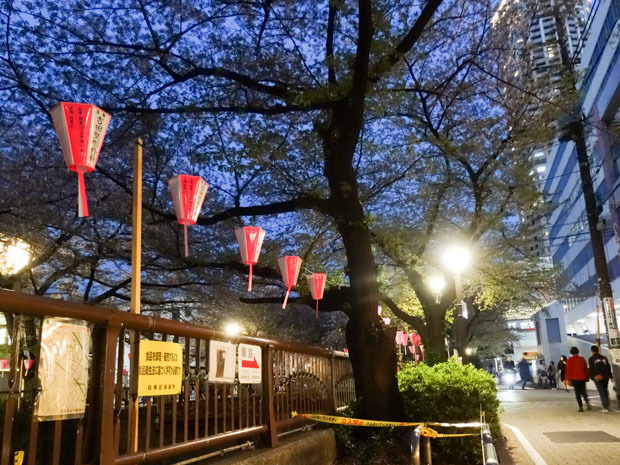 日も暮れて_b0234690_16255718.jpg