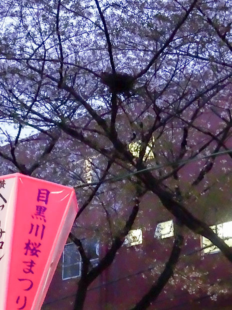日も暮れて_b0234690_16263235.jpg