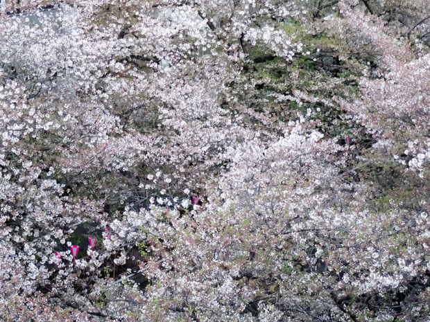 日も暮れて_b0234690_16270498.jpg