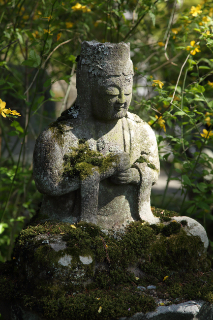 新緑耀く青龍山吉祥寺　①_a0357206_14323372.jpg