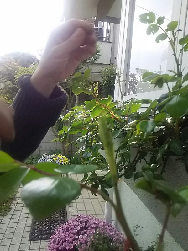 f0024708_13330163.jpg