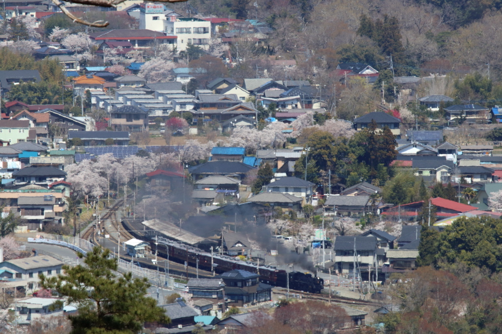上長瀞桜並木 - 2019年・秩父鉄道 -_b0190710_22203889.jpg