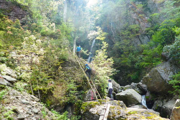 d0170615_18201083.jpg