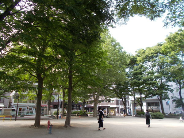 ポスティング<14>~散策写真_a0116217_01235359.jpg