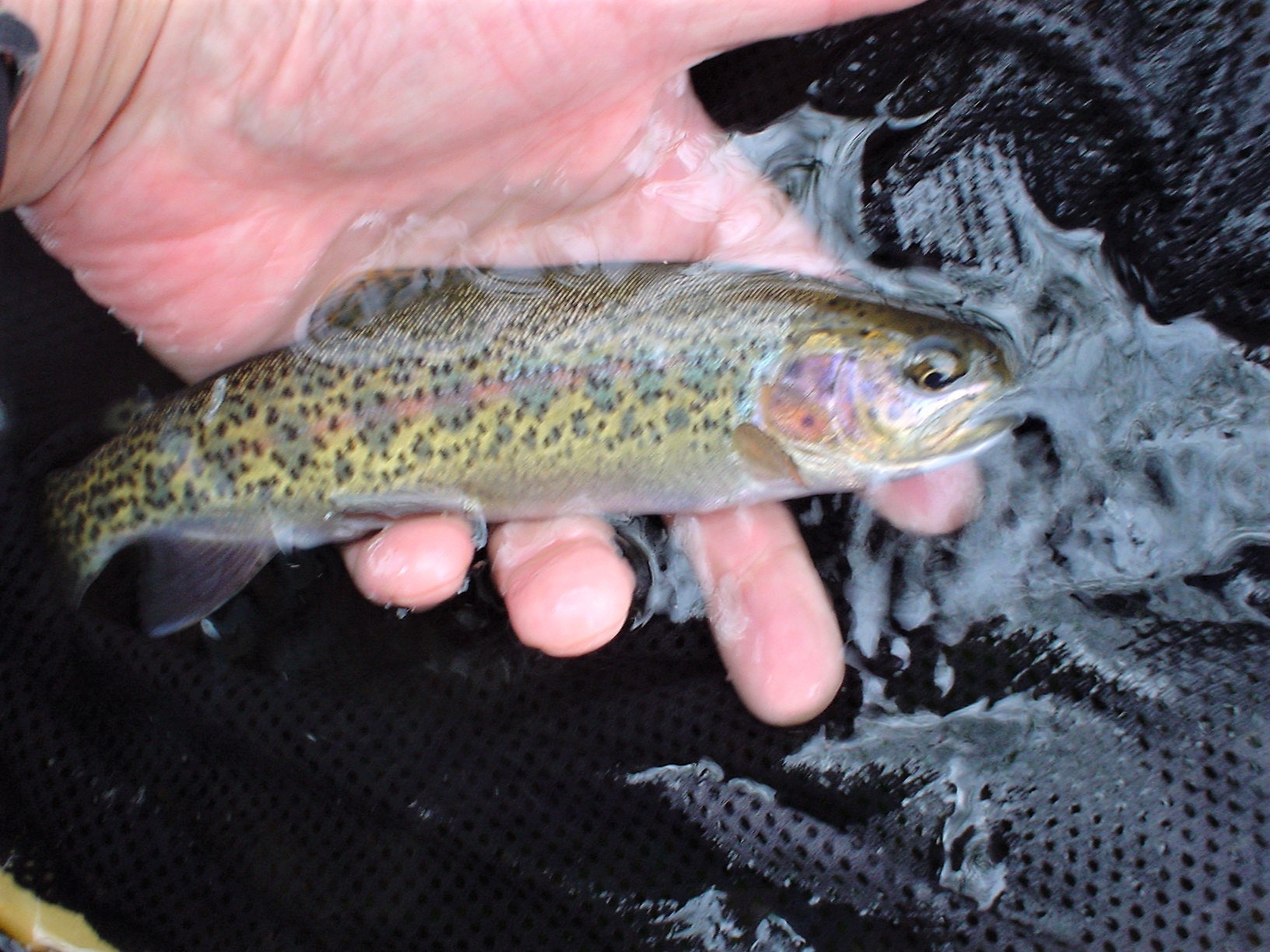 f0280717_15252424.jpg