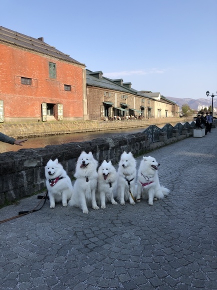 a0323521_22593303.jpeg
