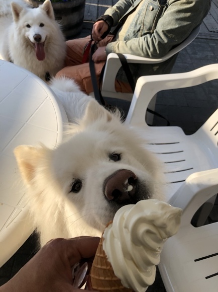 a0323521_23010436.jpeg