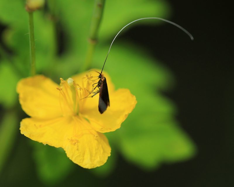 c0104227_22070522.jpg