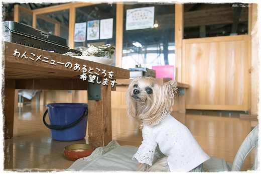 d0179828_00451609.png