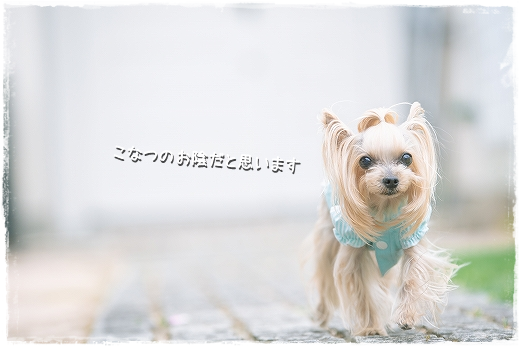 d0179828_22131961.png