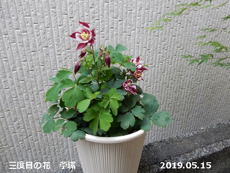 e0033229_18281699.jpg