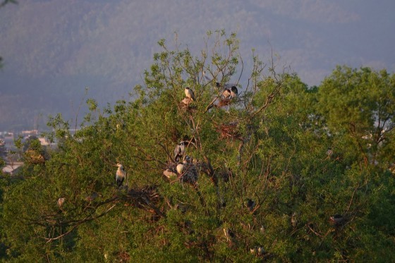 f0118332_00322718.jpg