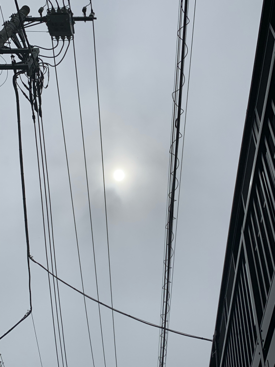 e0069433_01085899.jpg
