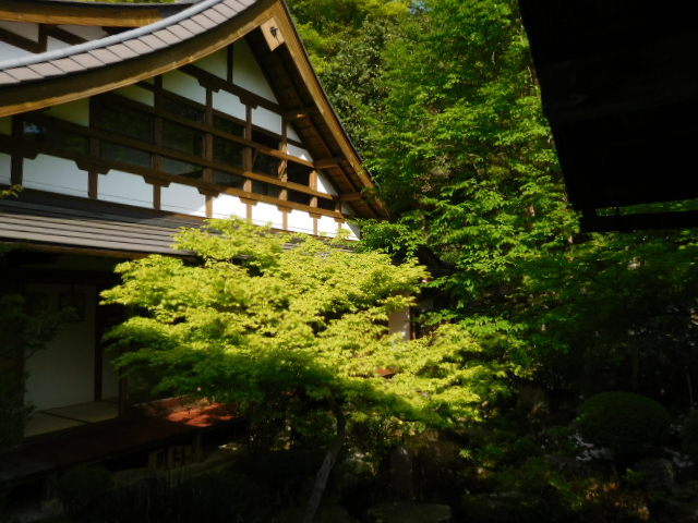 大原　宝泉院　_d0106134_21272910.jpg