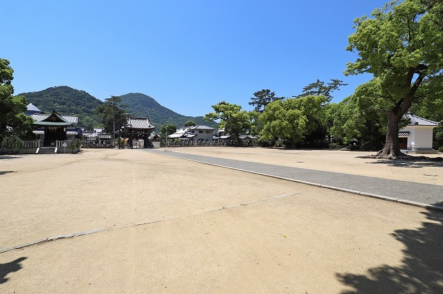 a0242438_20521238.jpg