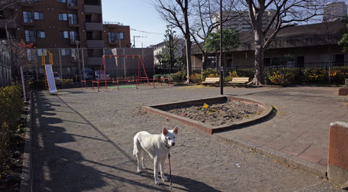 a0117039_23000090.jpg