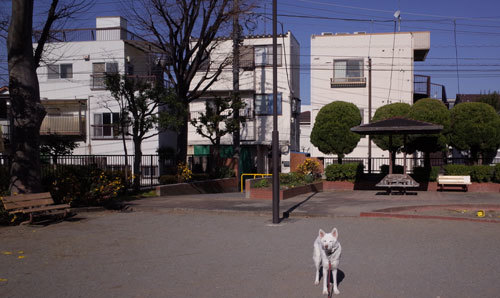 a0117039_23000989.jpg