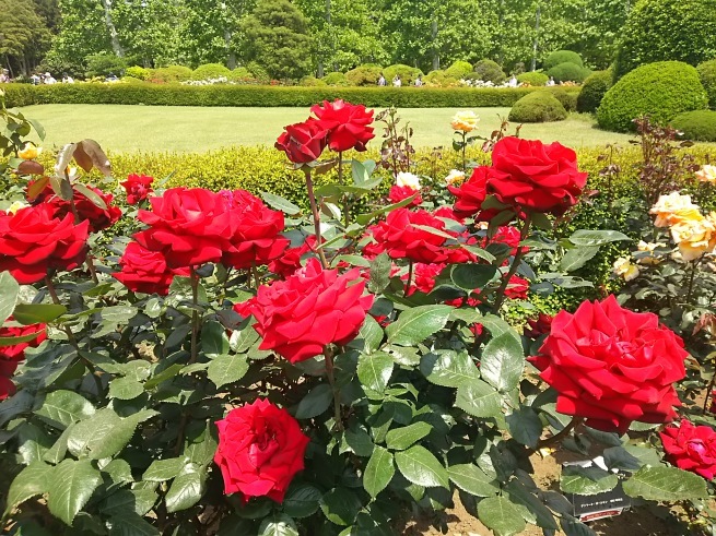 c0076939_23532081.jpg